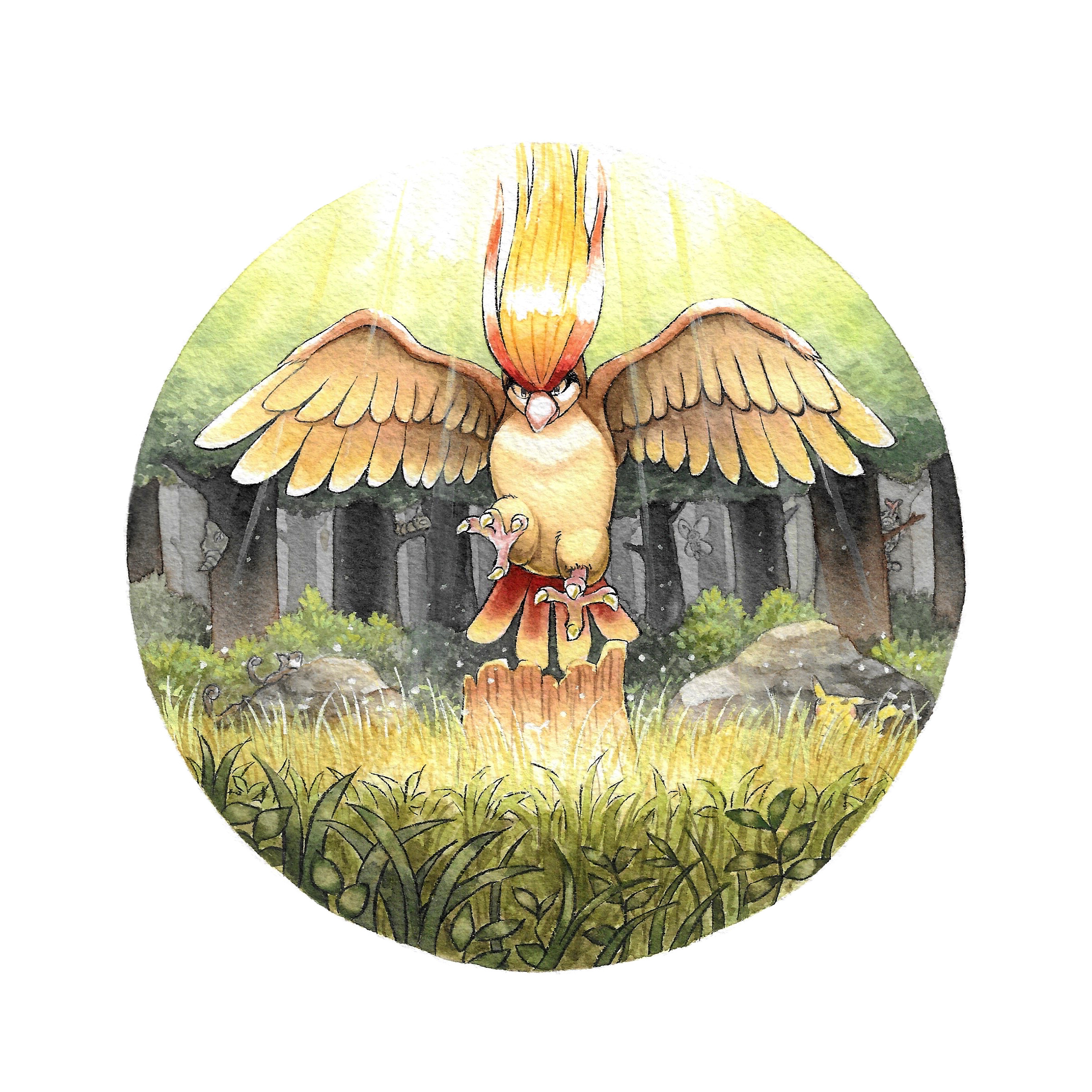 oliver hamlin, pidgeot, nintendo, pokemon, absurdres, highres, painting (medium), traditional media, watercolor (medium), bird, flying, forest, gen 1 pokemon, grass, nature, no humans, pokemon (creature), rock, simple background, solo, tree, viridian forest, white background