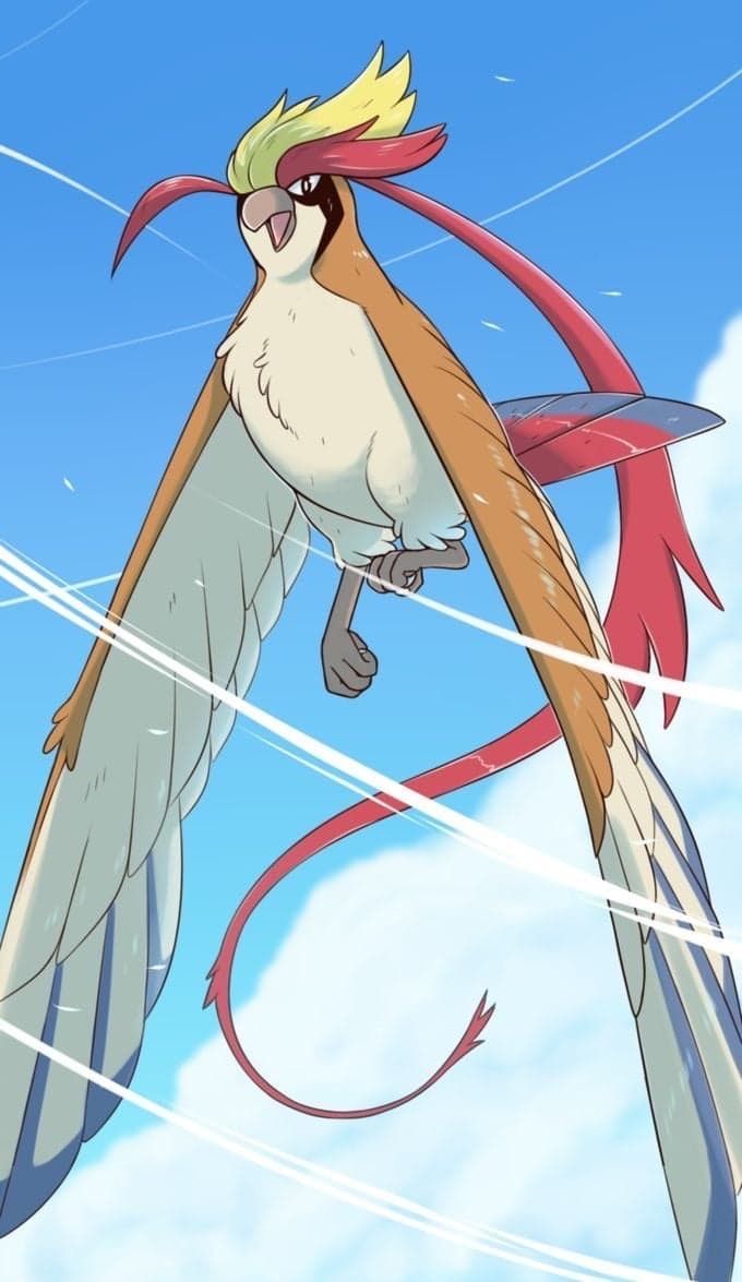 mega pidgeot, pidgeot, nintendo, pokemon, beak, bird, blue sky, cloud, day, gen 1 pokemon, insiderzx, looking at viewer, mega pokemon, no humans, outdoors, pokemon (creature), sky, solo