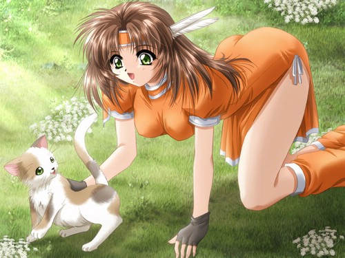 lowres, tagme, cat