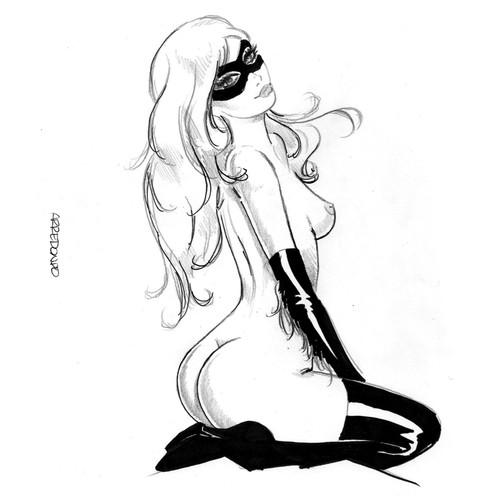 Rule34 – If it exists, there is porn of it / arredondo, black cat, felicia hardy / 133626