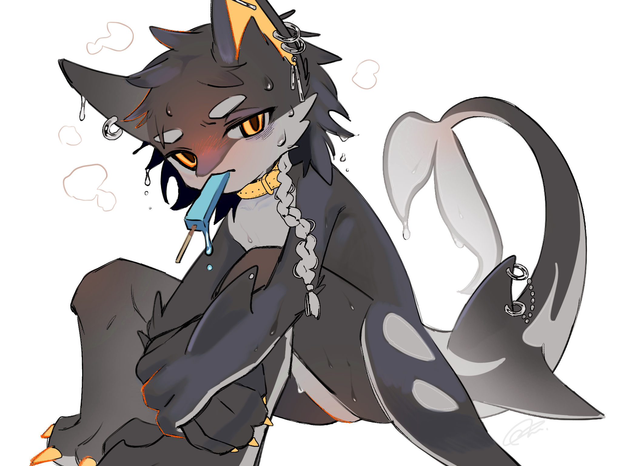 kashiwa gnu, original, commentary request, highres, 1boy, black fur, blush, body fur, braid, cetacean tail, claws, collar, ear piercing, fin piercing, fins, fish tail, food, food in mouth, grey fur, grey hair, hot, knees up, looking at viewer, male focus, orange eyes, piercing, popsicle, popsicle in mouth, simple background, sitting, solo, sweat, tail, white background