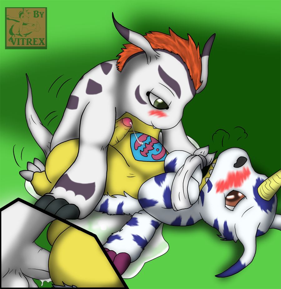 Rule34 – If it exists, there is porn of it / vitrex, gabumon, gomamon / 134089