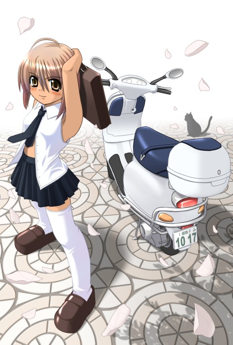 mishiki sakana, vehicle, ahoge, blush, cat, motor vehicle, necktie, petals, scooter, solo, thighhighs