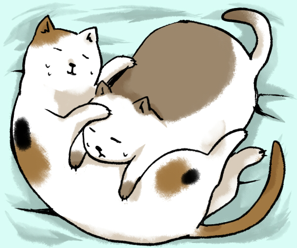 aobe, animal, animal focus, cat, no humans, sleeping, sweatdrop