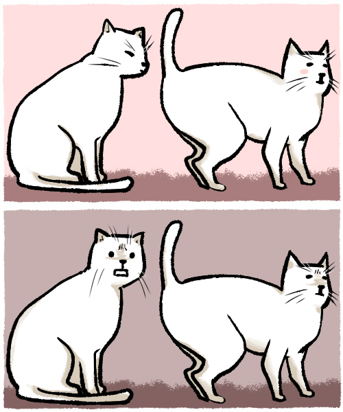 aobe, animal, animal focus, blush, cat, no humans, smelling