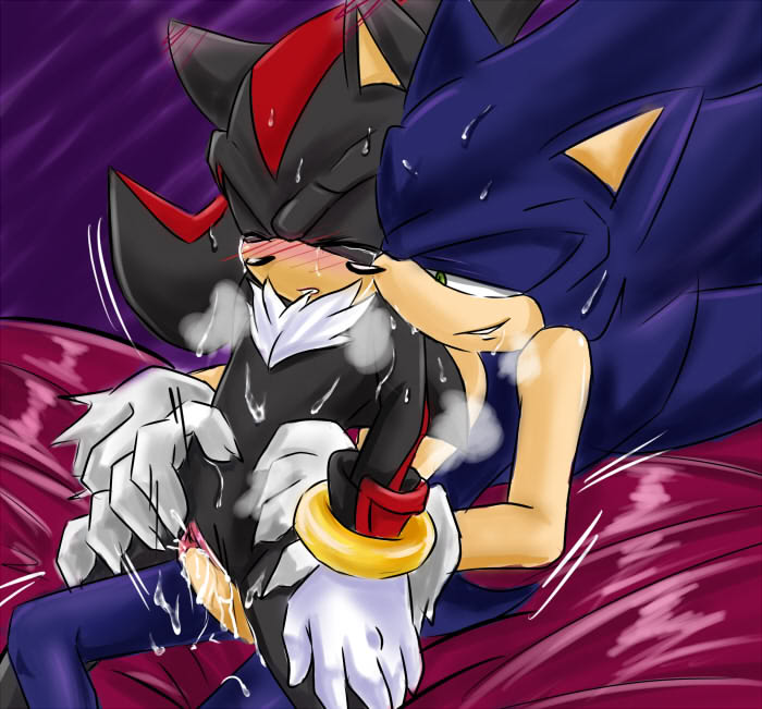 Rule34 – If it exists, there is porn of it / shadow the hedgehog, sonic the hedgehog / 134419