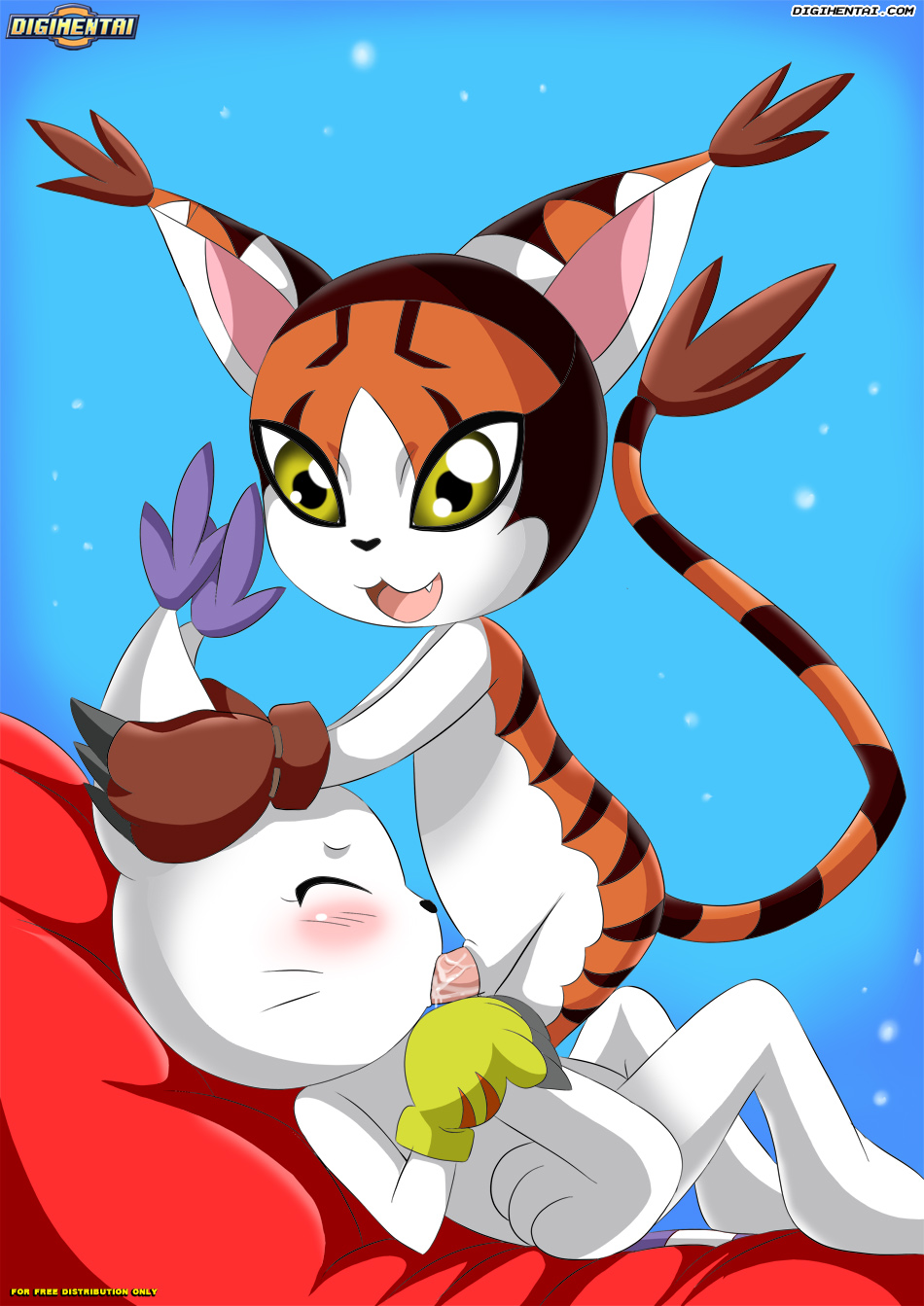 Rule34 – If it exists, there is porn of it / bbmbbf, gatomon, tailmon / 134501