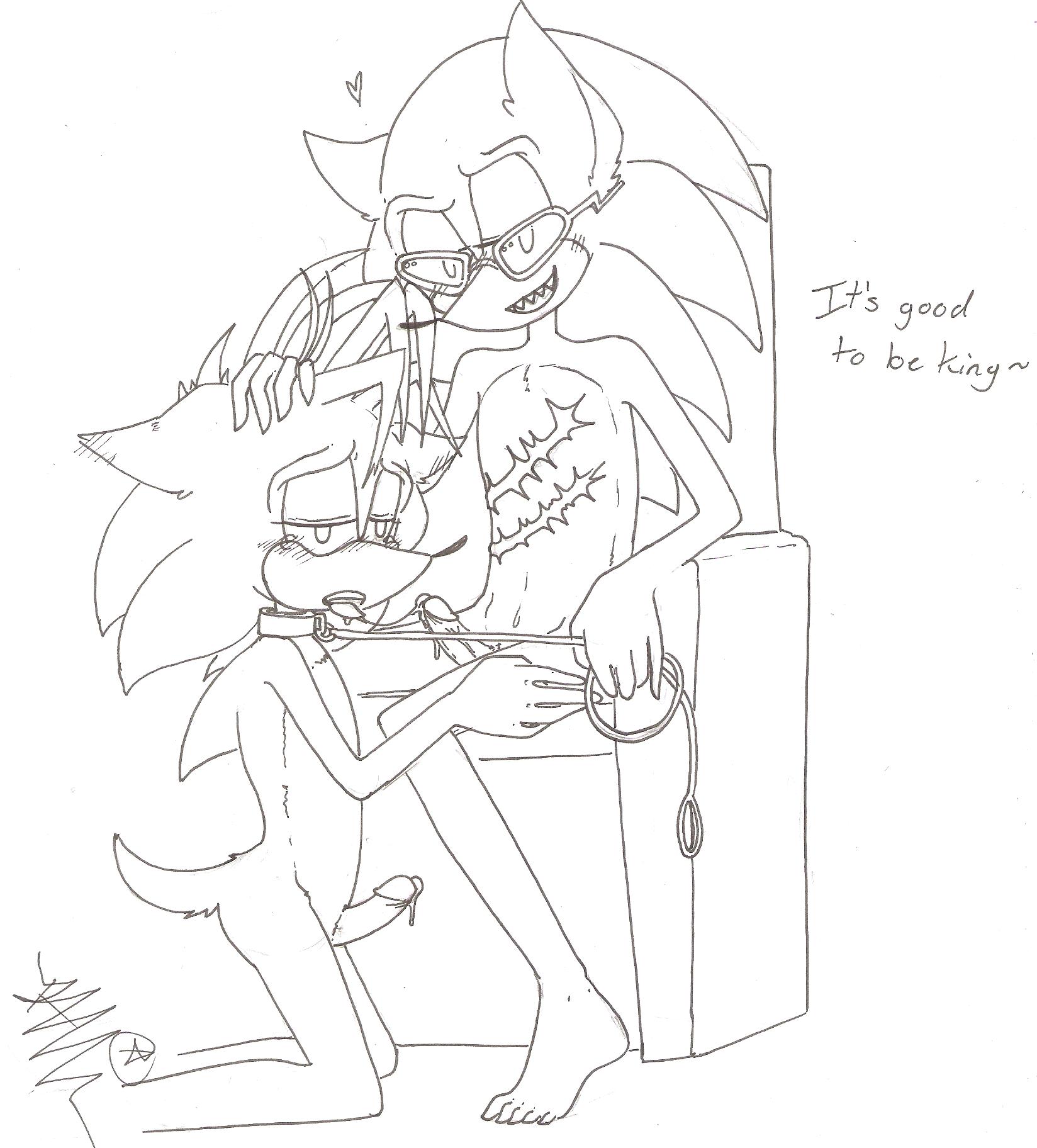 Rule34 – If it exists, there is porn of it / manic the hedgehog, scourge the hedgehog / 134539