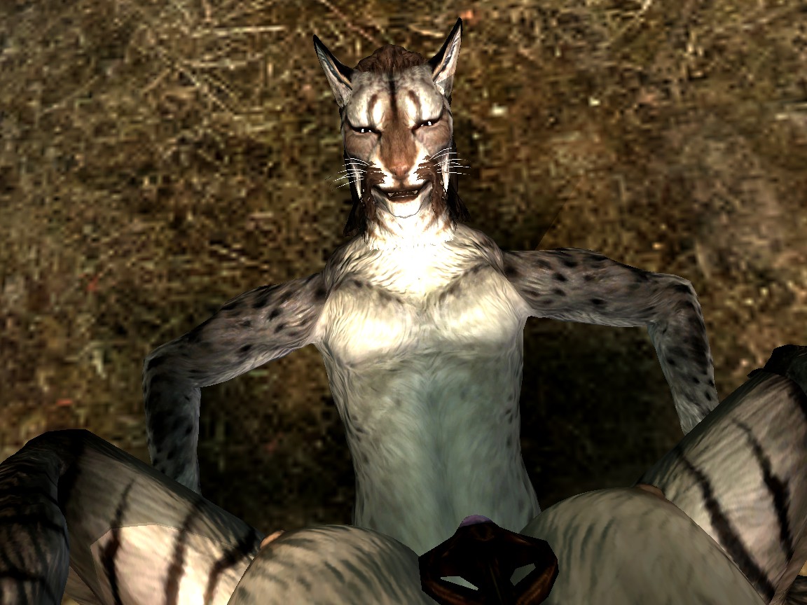 Rule34 – If it exists, there is porn of it / khajiit / 134588