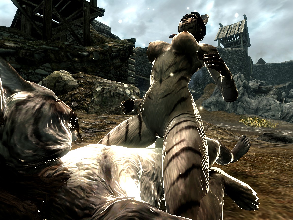 Rule34 – If it exists, there is porn of it / khajiit / 134590