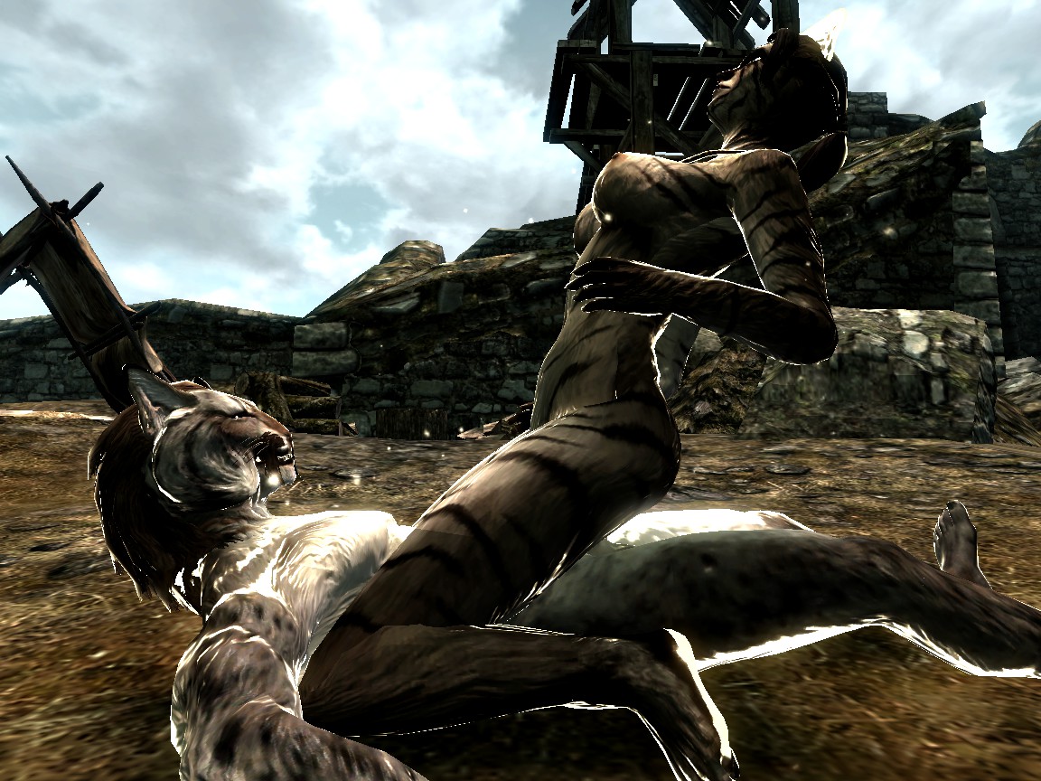Rule34 – If it exists, there is porn of it / khajiit / 134592
