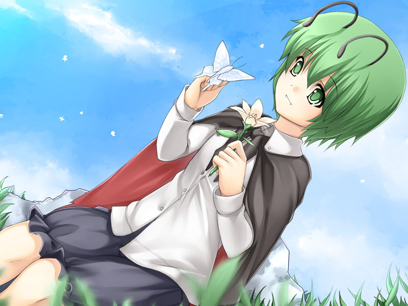 nakamura kusata, wriggle nightbug, touhou, bad id, bad pixiv id, 1girl, antennae, bug, butterfly, cape, cloud, day, female focus, flower, grass, green eyes, green hair, insect, kusata, matching hair/eyes, nature, outdoors, sky, solo