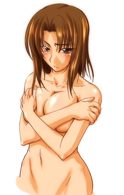 fue (rhomphair), mitsuzuri ayako, fate/stay night, fate (series), breast hold, 00s, 1girl, blush, breasts, brown eyes, brown hair, covering privates, crossed arms, female focus, large breasts, navel, nude, nude cover, solo