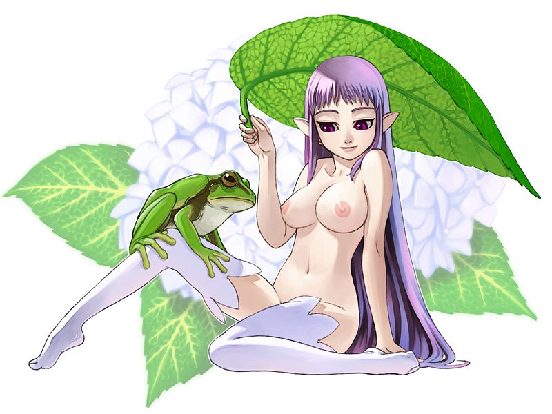 janome gochou, bad id, bad pixiv id, 1girl, breasts, female focus, flower, frog, hydrangea, large breasts, leaf, long hair, nipples, nude, pointy ears, purple eyes, purple hair, sitting, solo, thighhighs