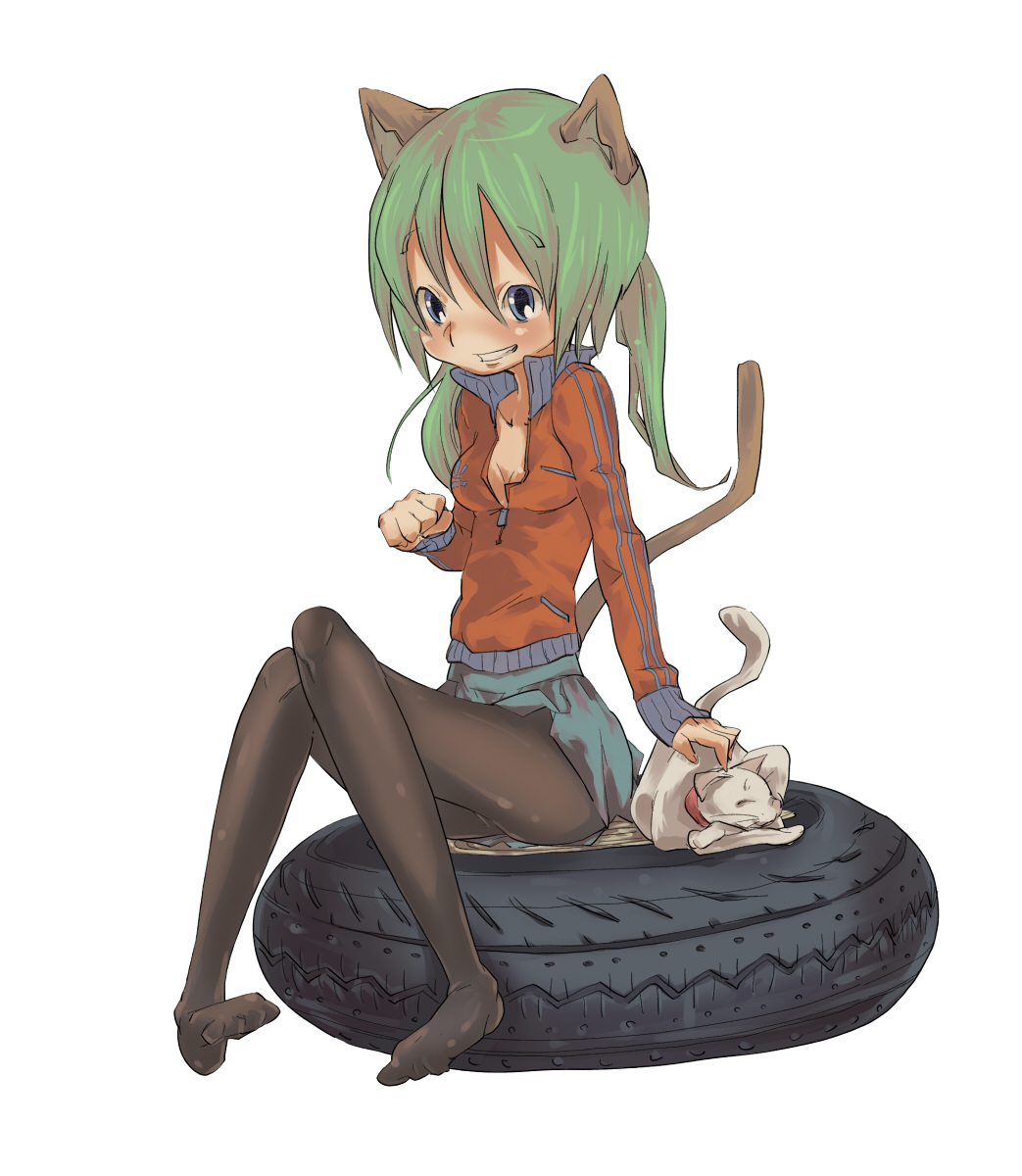 ushihashiru, original, highres, animal ears, blue eyes, cat, cat ears, cat tail, green hair, pantyhose, skirt, solo, tail, twintails