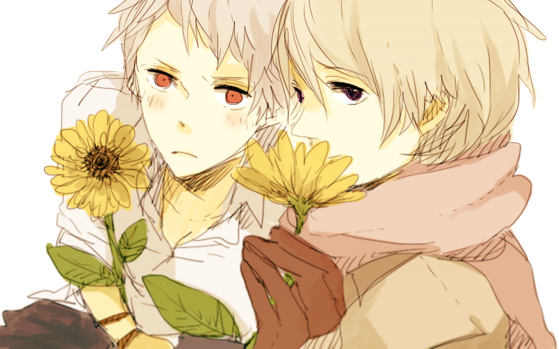 meiji (artist), prussia (hetalia), russia (hetalia), axis powers hetalia, commentary request, 2boys, blonde hair, blush, brown coat, brown gloves, closed mouth, coat, collared shirt, empty eyes, flower, gloves, grey hair, hair between eyes, hand up, holding, holding flower, leaf, long sleeves, looking at viewer, male focus, multiple boys, purple eyes, red eyes, shirt, short hair, simple background, sunflower, upper body, v-shaped eyebrows, white background, white shirt, yellow flower