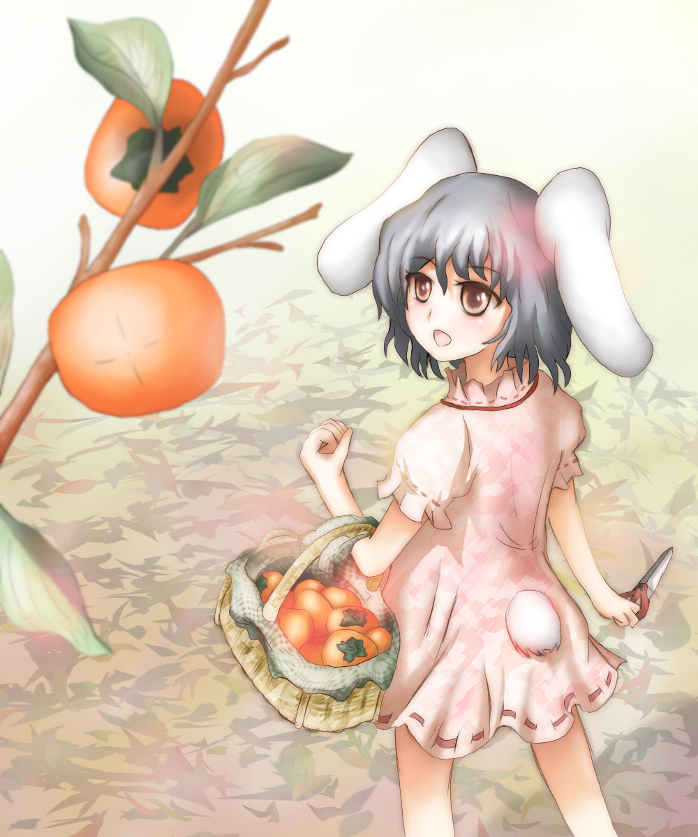 kanja, knj, inaba tewi, touhou, highres, 1girl, animal ears, blurry, cowboy shot, day, depth of field, female focus, food, from above, fruit, outdoors, persimmon, plant, rabbit ears, rabbit girl, rabbit tail, short hair, solo, standing, tail