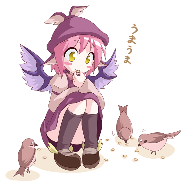 des (namaasi), mystia lorelei, touhou, 1girl, animal ears, animal hat, bird, eating, female focus, full body, hat, pink hair, simple background, socks, solo, squatting, white background, wings, yellow eyes