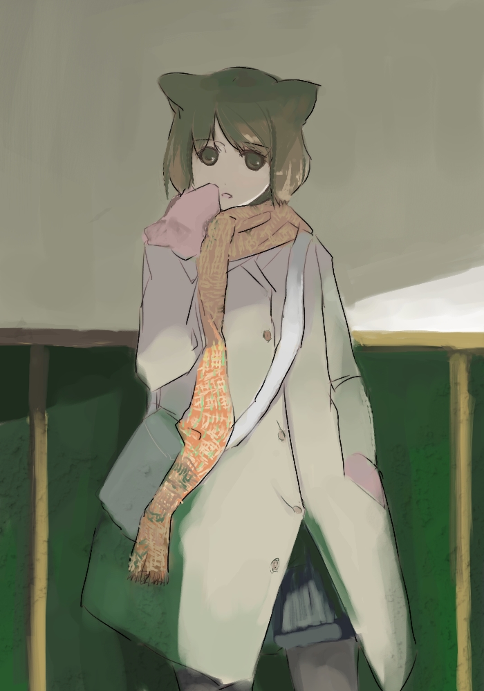 nanan, bad id, bad pixiv id, animal ears, brown hair, cat ears, coat, scarf, short hair, solo