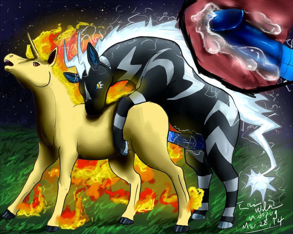 Rule34 – If it exists, there is porn of it / nidopug, rapidash, zebstrika / 136443