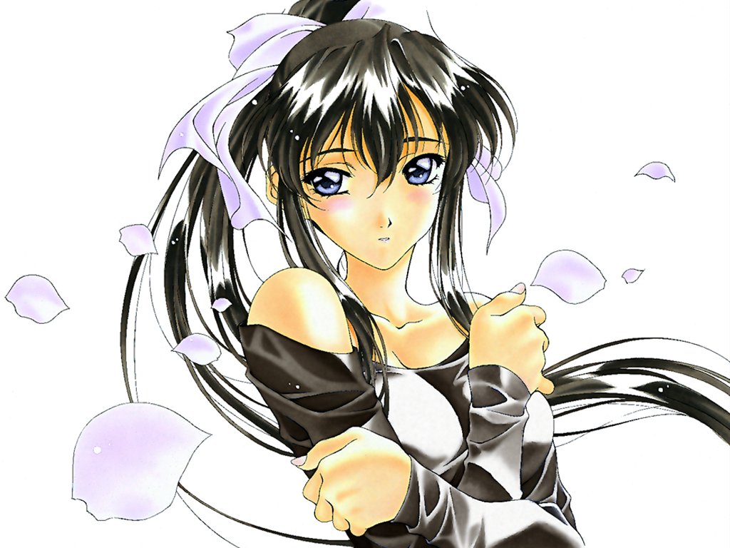 kai tomohisa, matsuoka chie, sentimental graffiti, 1990s (style), 1girl, black hair, blush, female focus, long hair, petals, ponytail, retro artstyle, solo