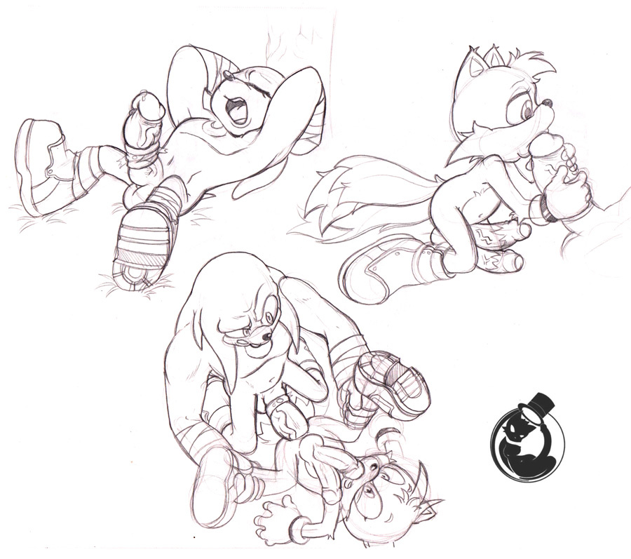 Rule34 – If it exists, there is porn of it / neokat, knuckles the echidna, tails / 136933