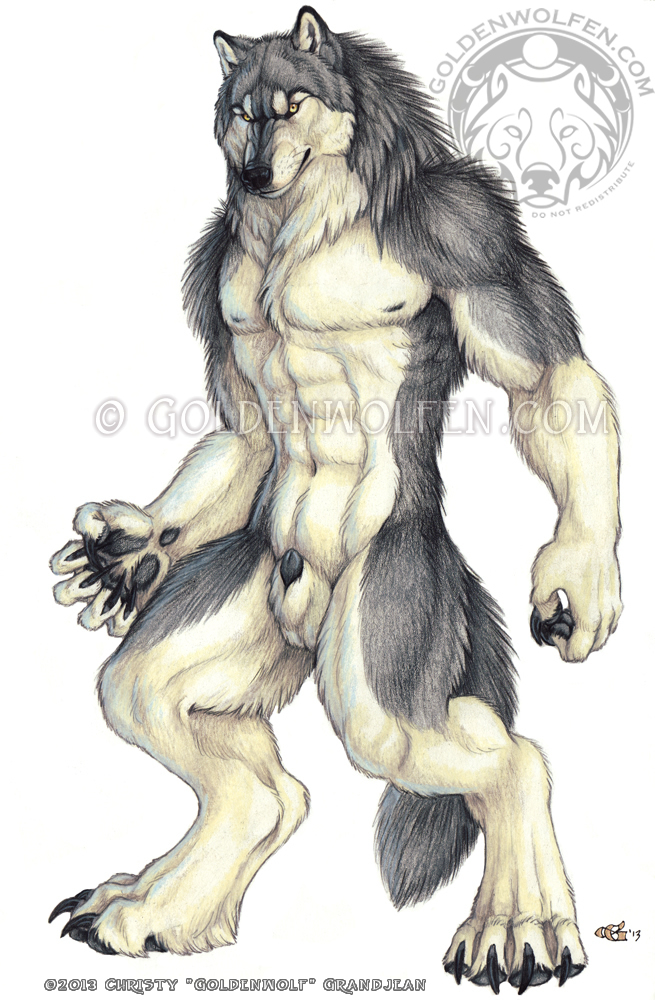 Rule34 – If it exists, there is porn of it / goldenwolf, heartlessfang / 136975