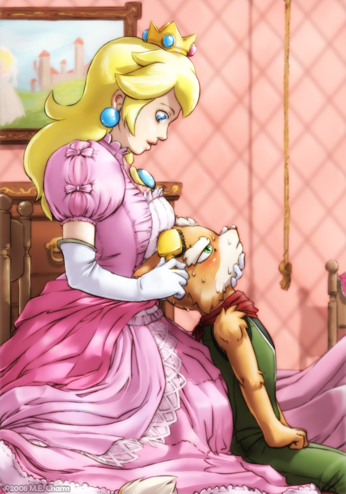 mecharm, fox mccloud, princess peach, mario (series), nintendo, super smash bros., bad deviantart id, bad id, 1boy, 1girl, blue eyes, blush, couple, crossover, crown, dress, furry, gloves, green eyes, hair brush, hetero, pink dress, sitting, sweat