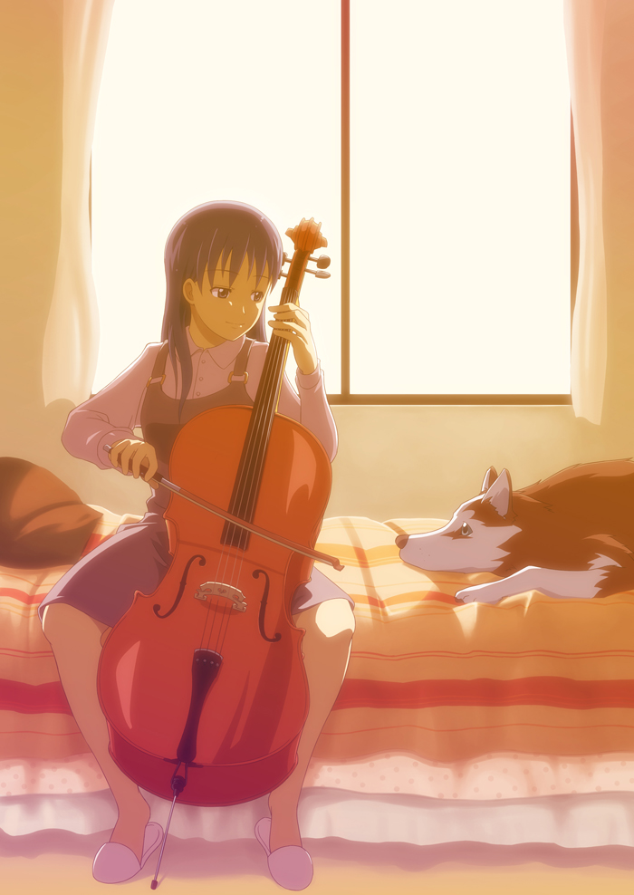ardnades, original, 1girl, animal, bed, blue eyes, blue hair, cello, dog, female focus, indoors, instrument, matching hair/eyes, sitting, slice of life, slippers, solo, sunset