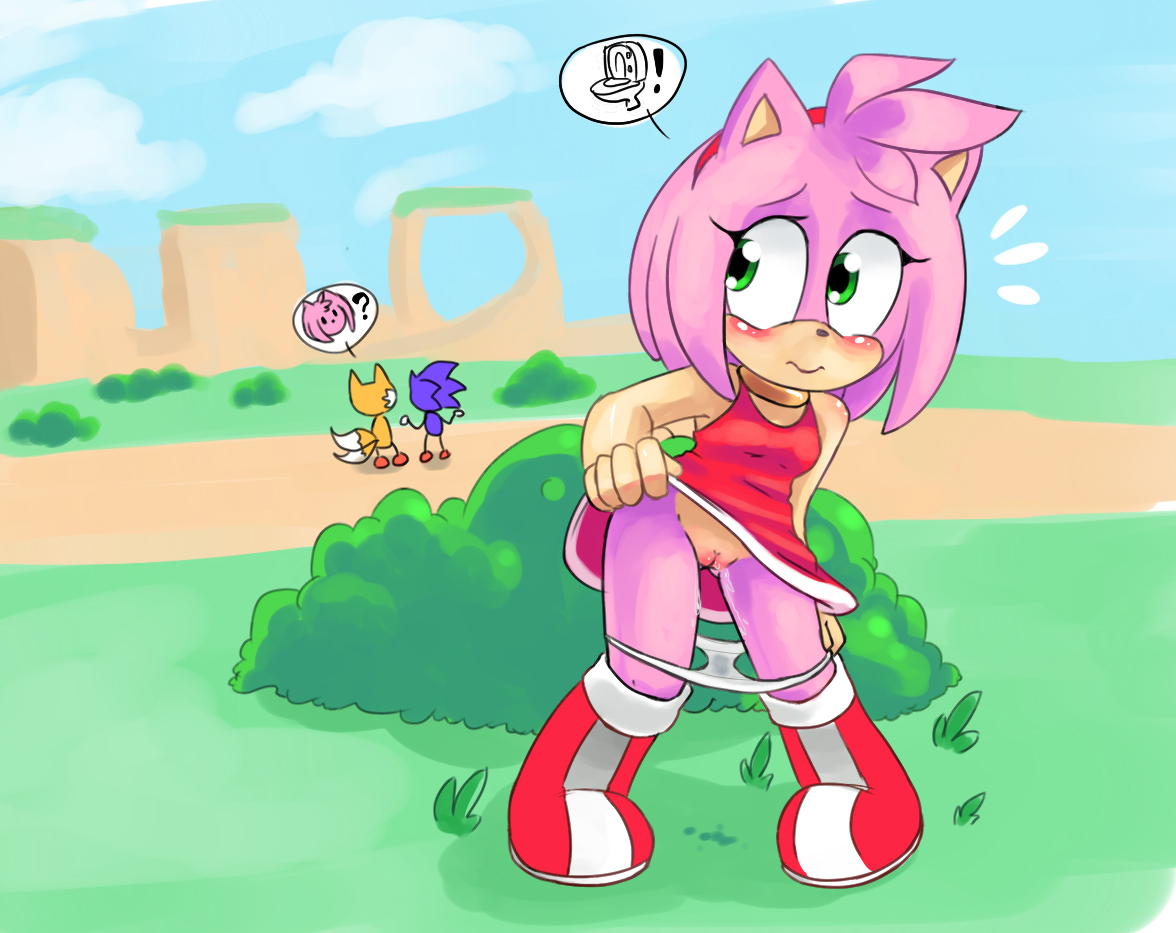 Rule34 – If it exists, there is porn of it / shaily, amy rose, sonic the hedgehog, tails / 137844