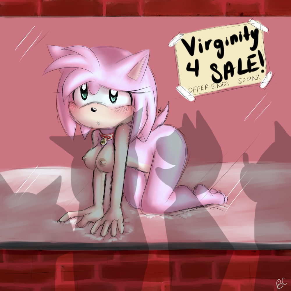 Rule34 – If it exists, there is porn of it / bluechika, amy rose / 137926