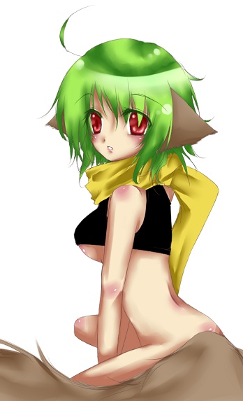 mono (sa), ranka lee, macross, macross frontier, bad id, bad pixiv id, 00s, 1girl, animal ears, blush, breasts, dog ears, dog tail, female focus, green hair, large breasts, red eyes, scarf, solo, tail, underboob