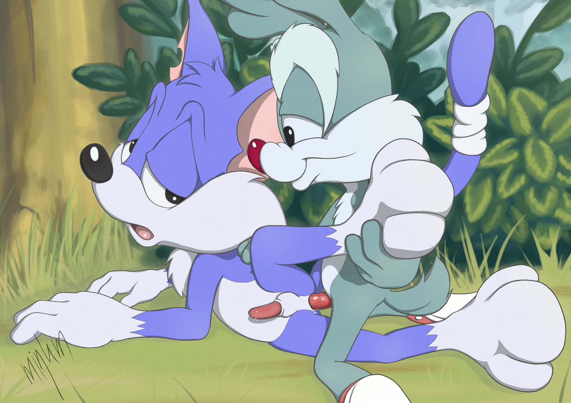 Rule34 – If it exists, there is porn of it / furball, minum, calamity coyote / 138450