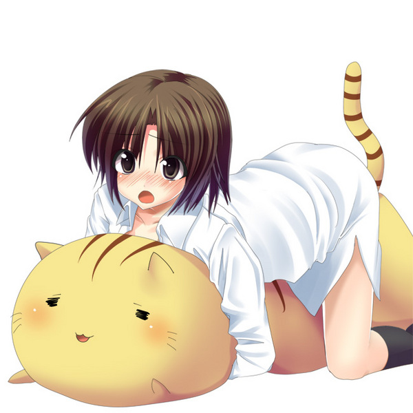 masayu, doruji, naoe riki, little busters!, resized, 1boy, blush, bob cut, brown eyes, brown hair, cat, hug, open clothes, open shirt, pixiv thumbnail, short hair, socks, trap