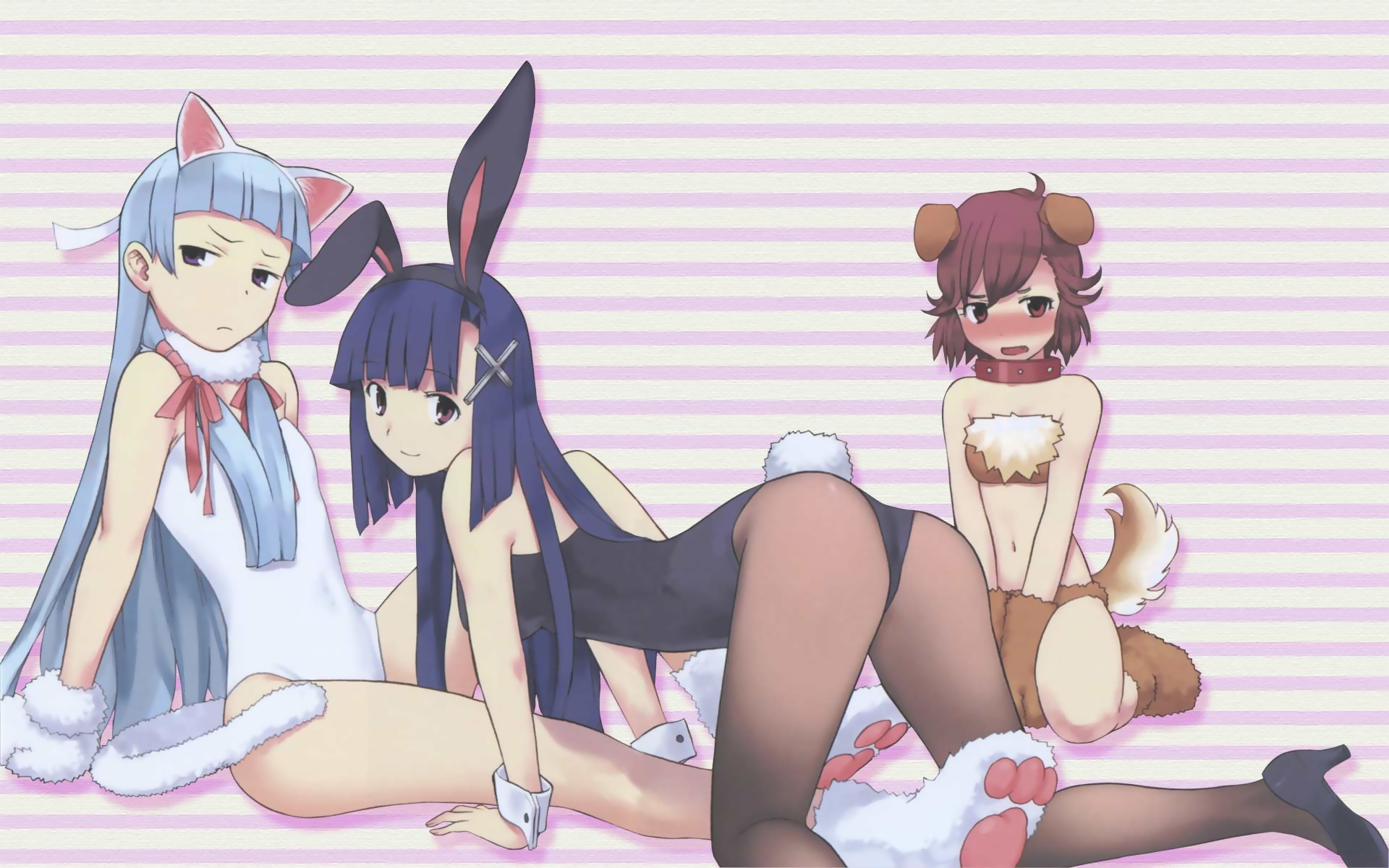 takenashi eri, aoba tsugumi, nagi, zange, kannagi, bunny girl, wallpaper, widescreen, highres, 3girls, animal ears, ass, blue hair, brown hair, cat ears, high heels, kittysuit, leotard, multiple girls, pantyhose, playboy bunny, rabbit ears, shoes, tail, wrist cuffs