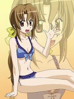 maria (hayate no gotoku!), hayate no gotoku!, lowres, 00s, 1girl, bikini, brown hair, female focus, long hair, ponytail, purple bikini, qvga, sitting, solo, swimsuit, zoom layer