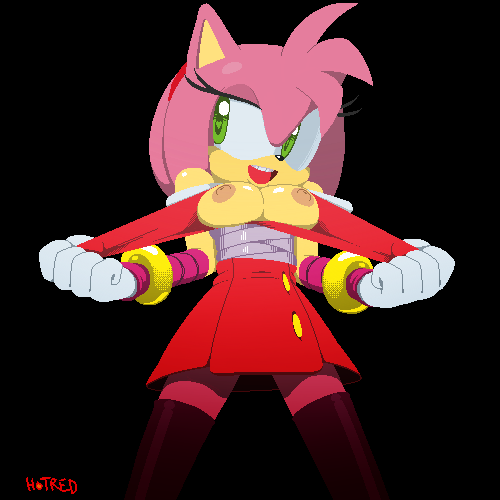 Rule34 – If it exists, there is porn of it / hotred, amy rose / 140215