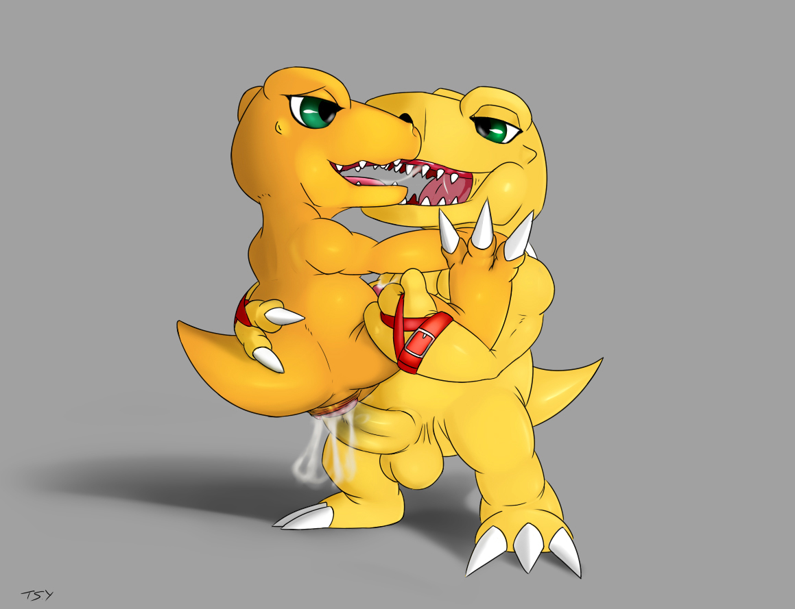 Rule34 – If it exists, there is porn of it / seyrmo, agumon / 140315
