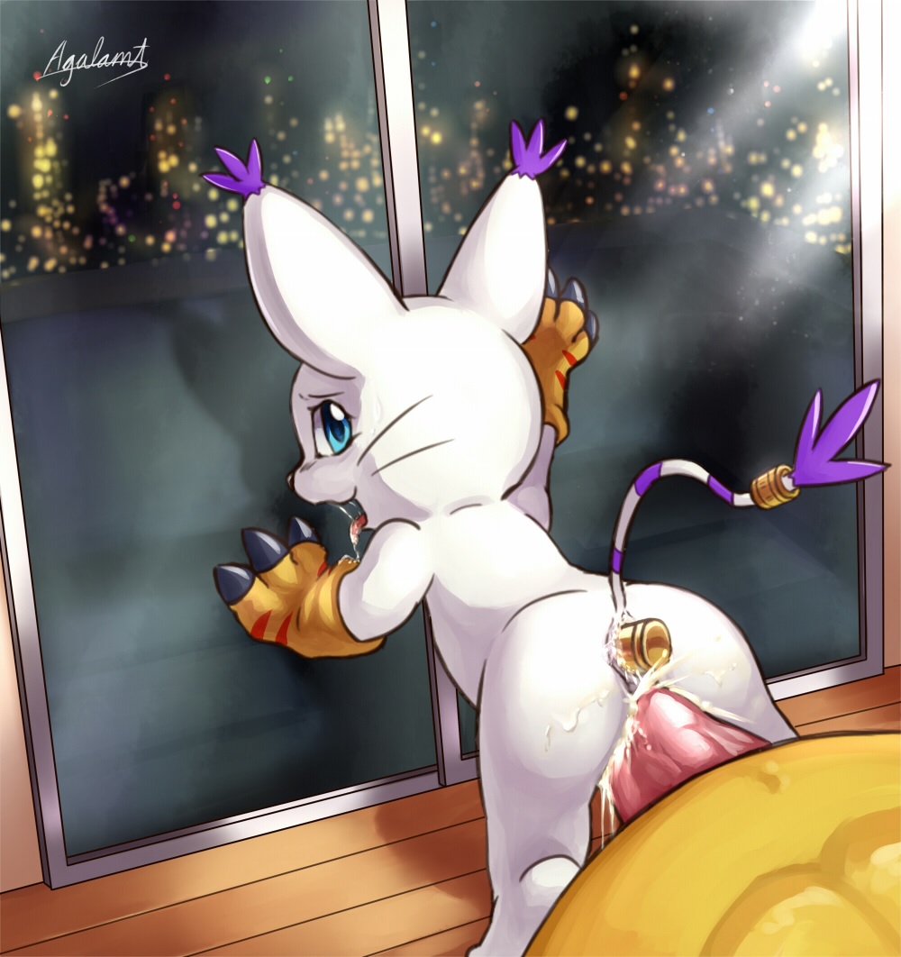 Rule34 – If it exists, there is porn of it / agumon, gatomon / 140416