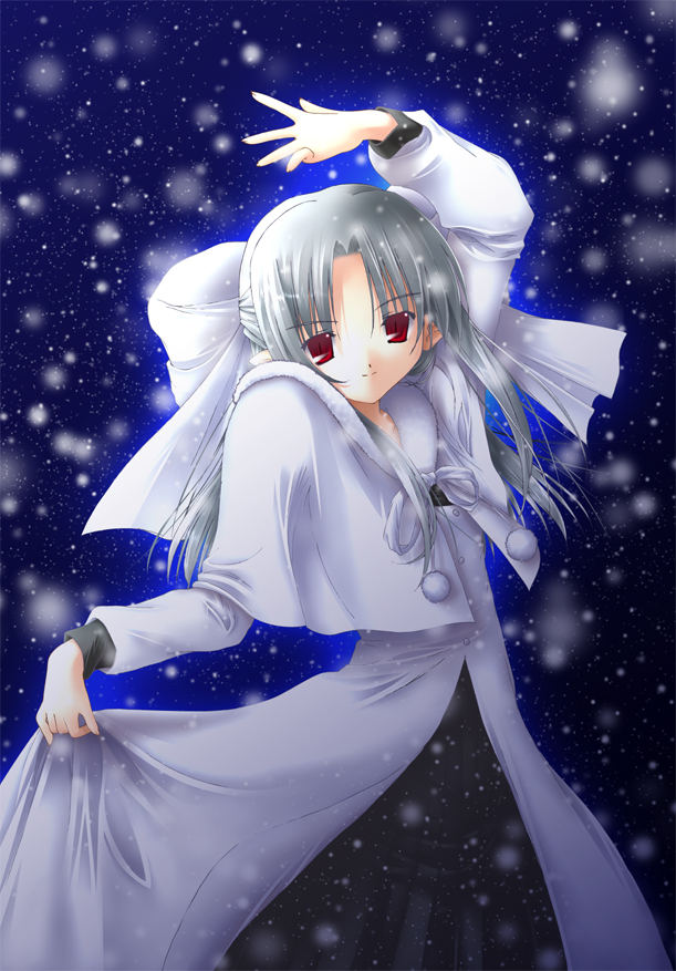 white len (tsukihime), melty blood, tsukihime, type-moon, silver hair, 00s, 1girl, dress, female focus, half updo, red eyes, snow, solo