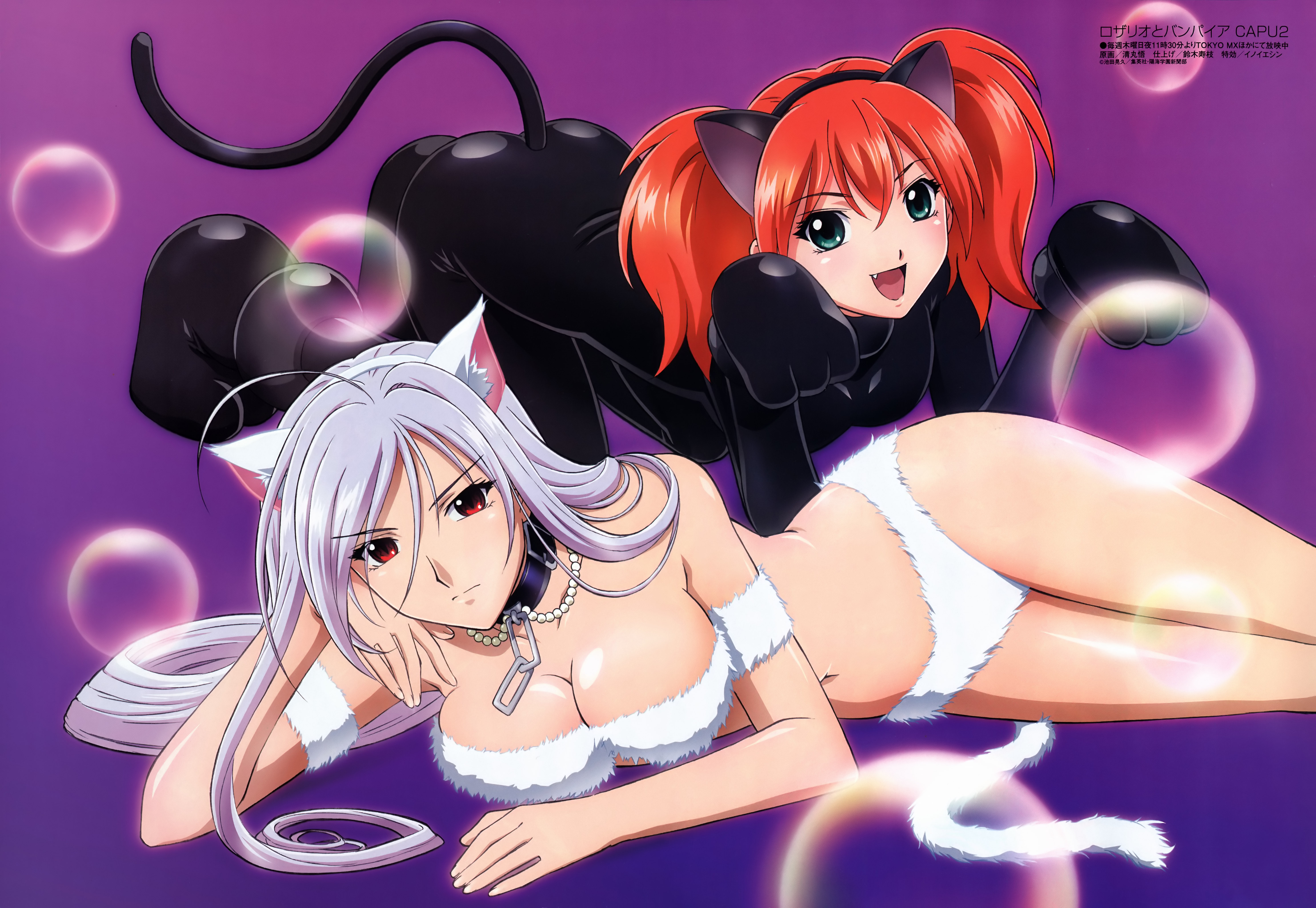 kiyomaru satoru, akashiya moka, inner moka, shuzen kokoa, megami magazine, rosario+vampire, silver hair, absurdres, highres, 00s, 2girls, animal ears, bikini, breasts, catsuit, cleavage, collar, fang, green eyes, long hair, lying, multiple girls, navel, orange hair, paw pose, red eyes, siblings, sisters, swimsuit, tail, very long hair