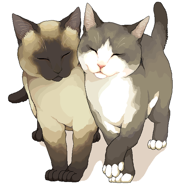 murata (bakeneko soudou), original, animal, animal focus, cat, closed eyes, no humans, nuzzle, siamese cat