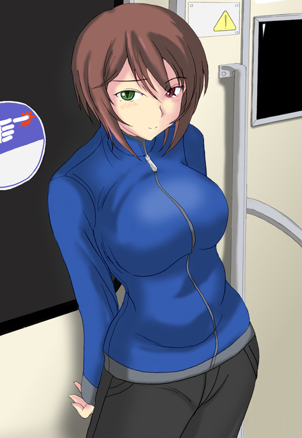 boku, tsuda nanafushi, souseiseki, rozen maiden, non-web source, 00s, aged up, brown hair, green eyes, heterochromia, jacket, red eyes, short hair, solo, train, train interior, zipper