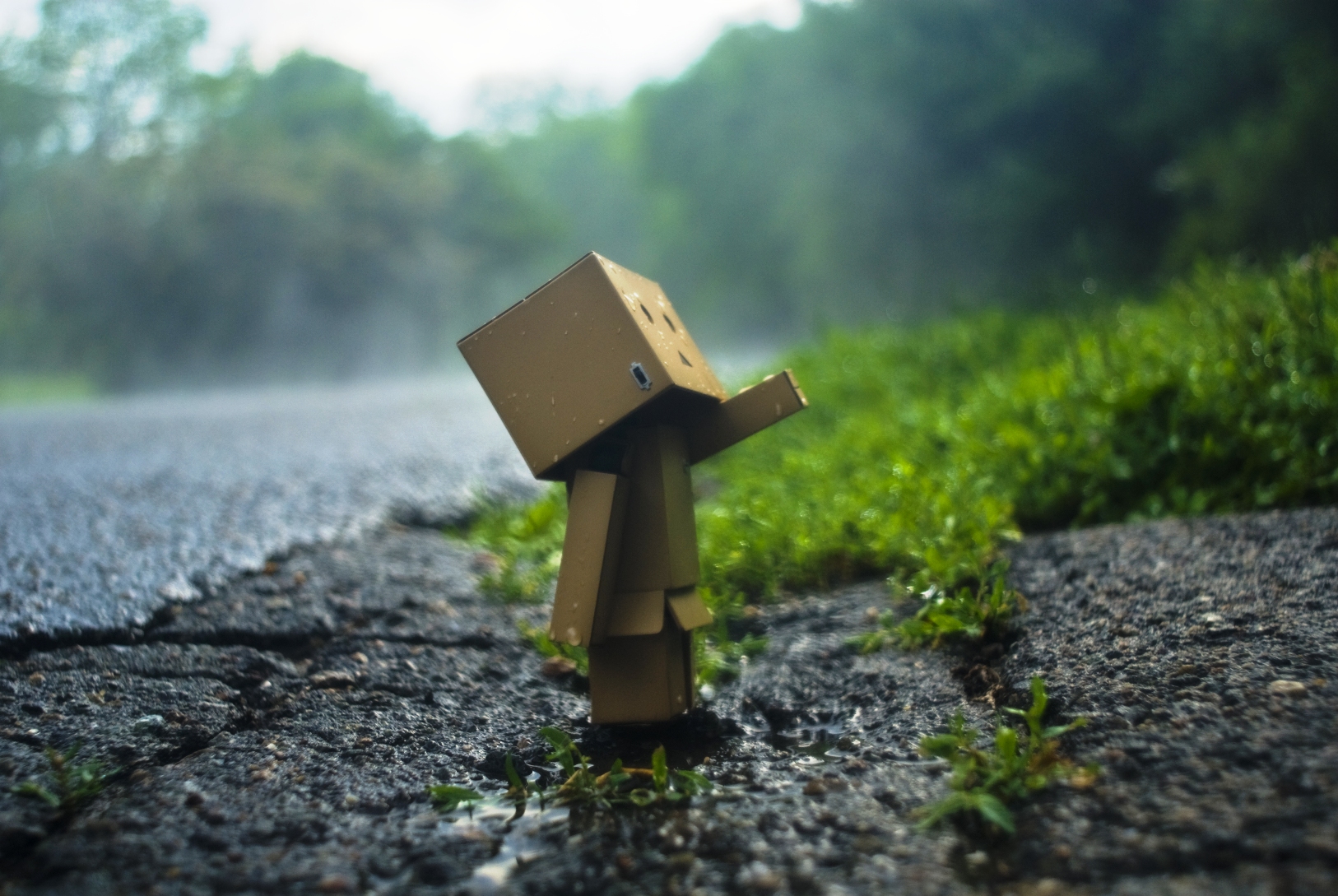 arielle nadel, azuma kiyohiko, danboo, yotsubato!, minimized, highres, photo (medium), source request, box, cardboard box, figure, figure (medium), full body, no humans, outdoors, outstretched arm, road, standing, switch, toy, water, wet