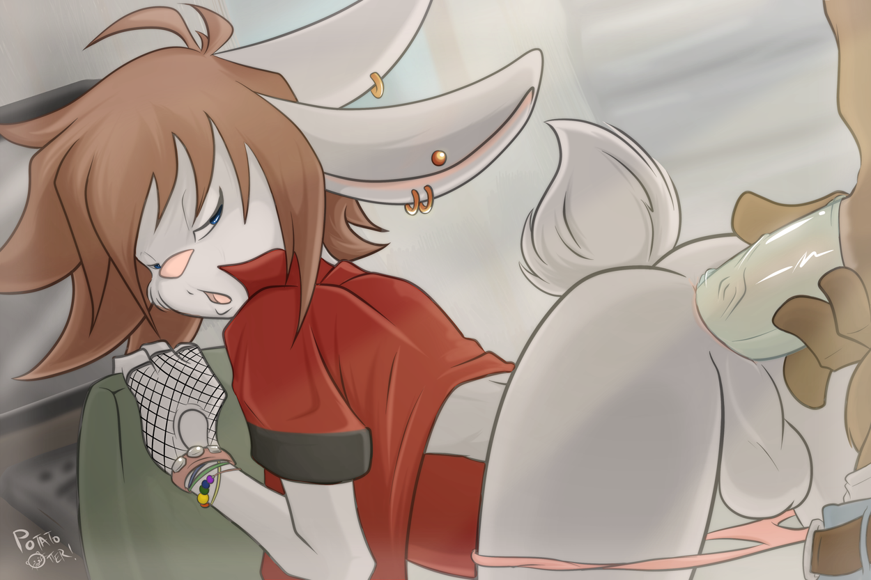 Rule34 – If it exists, there is porn of it / potato otter / 141114
