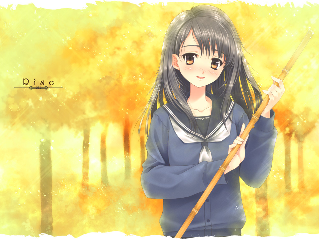 touto seiro, original, 1girl, autumn, bamboo, bamboo broom, black hair, broom, brown eyes, female focus, forest, long hair, nature, school uniform, serafuku, solo