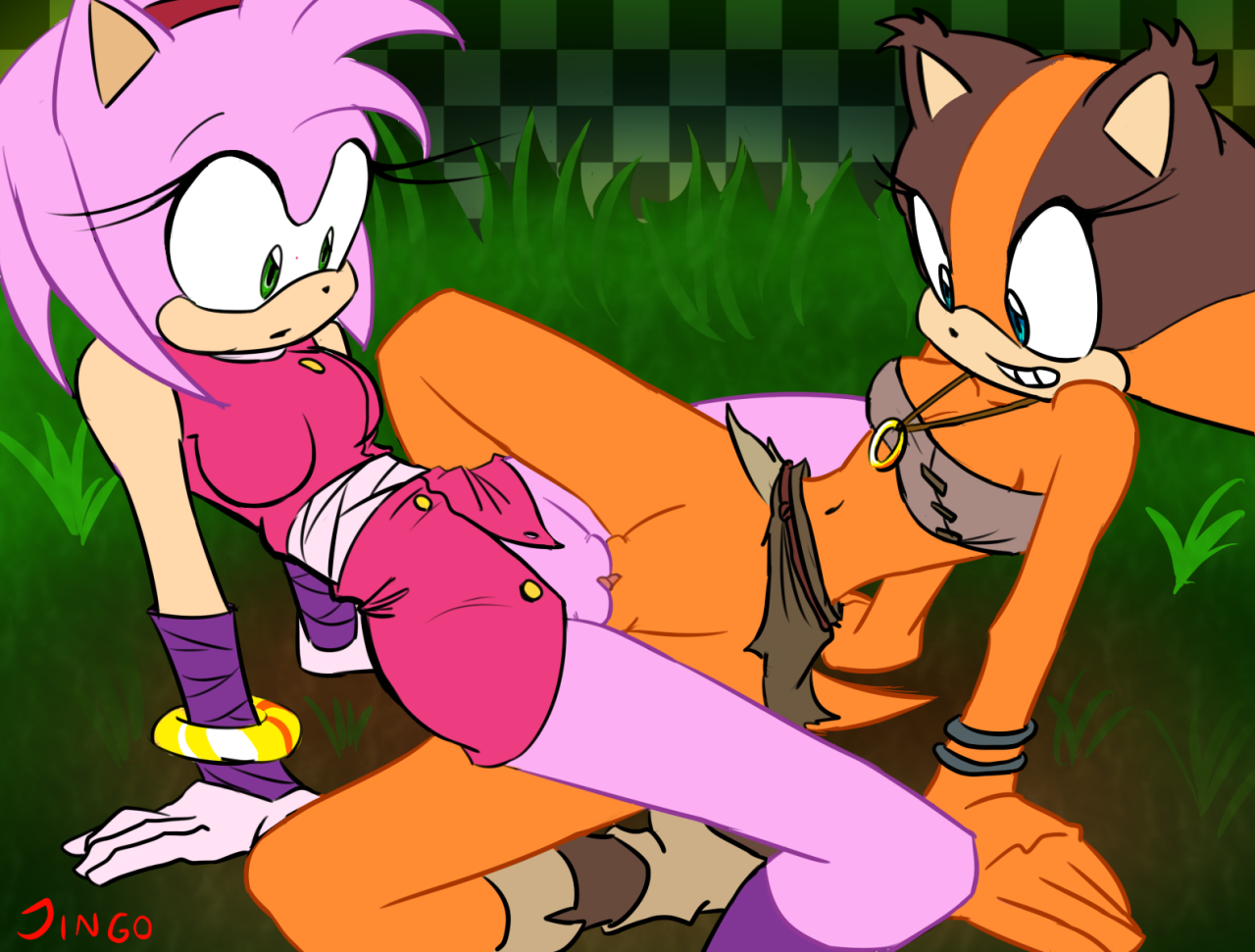 Rule34 – If it exists, there is porn of it / captainjingo, amy rose, sticks the badger, sticks the jungle badger / 141497