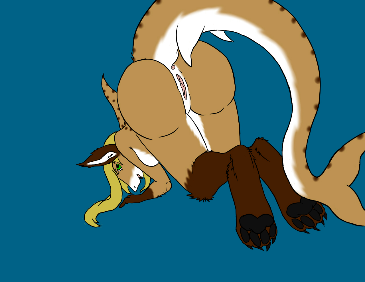 Rule34 – If it exists, there is porn of it / kogorocloud, silvercloud, zeetyphlosion, natalia / 141826
