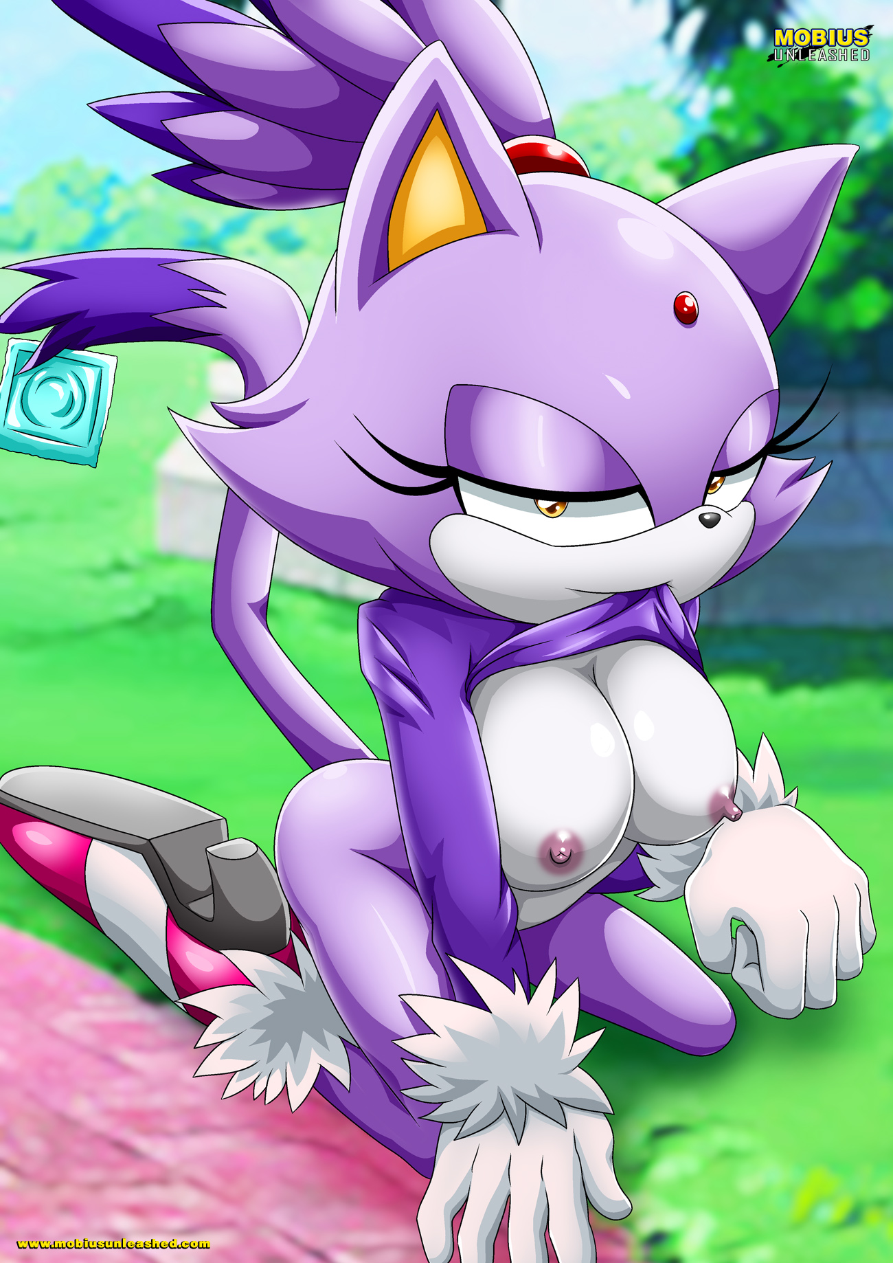 Rule34 – If it exists, there is porn of it / blaze the cat / 142047
