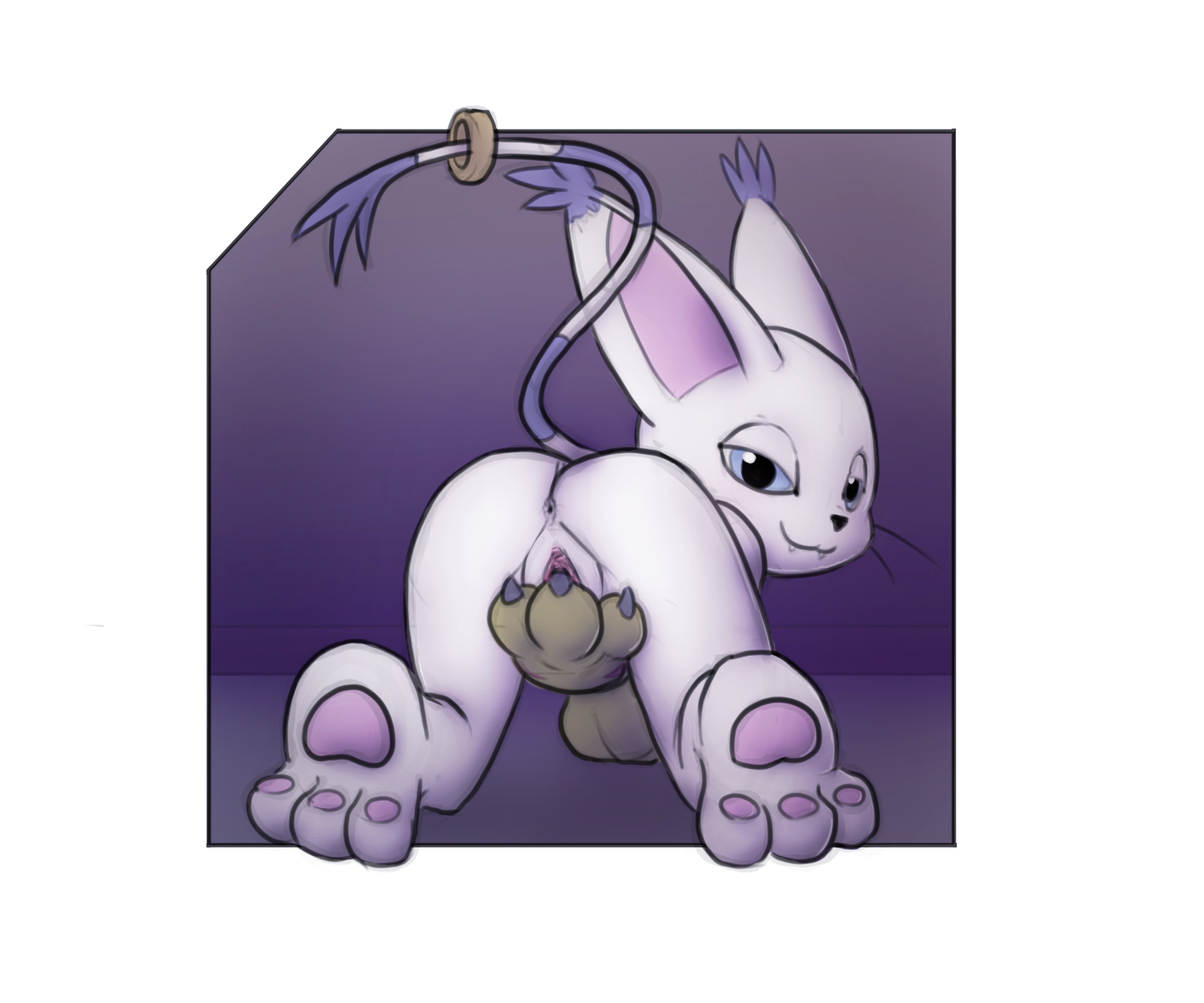 Rule34 – If it exists, there is porn of it / kekitopu, gatomon / 142444